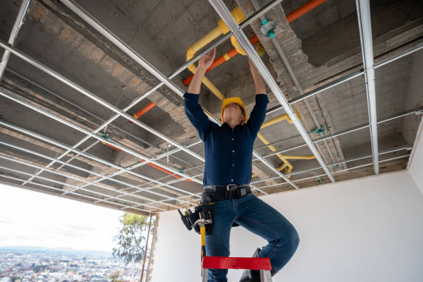 Best Residential Plumbing Services  in , AZ